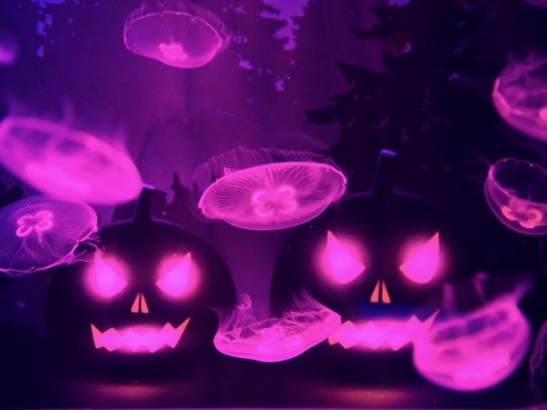 The Spookiest Jellyfish Show You’ll Ever See.