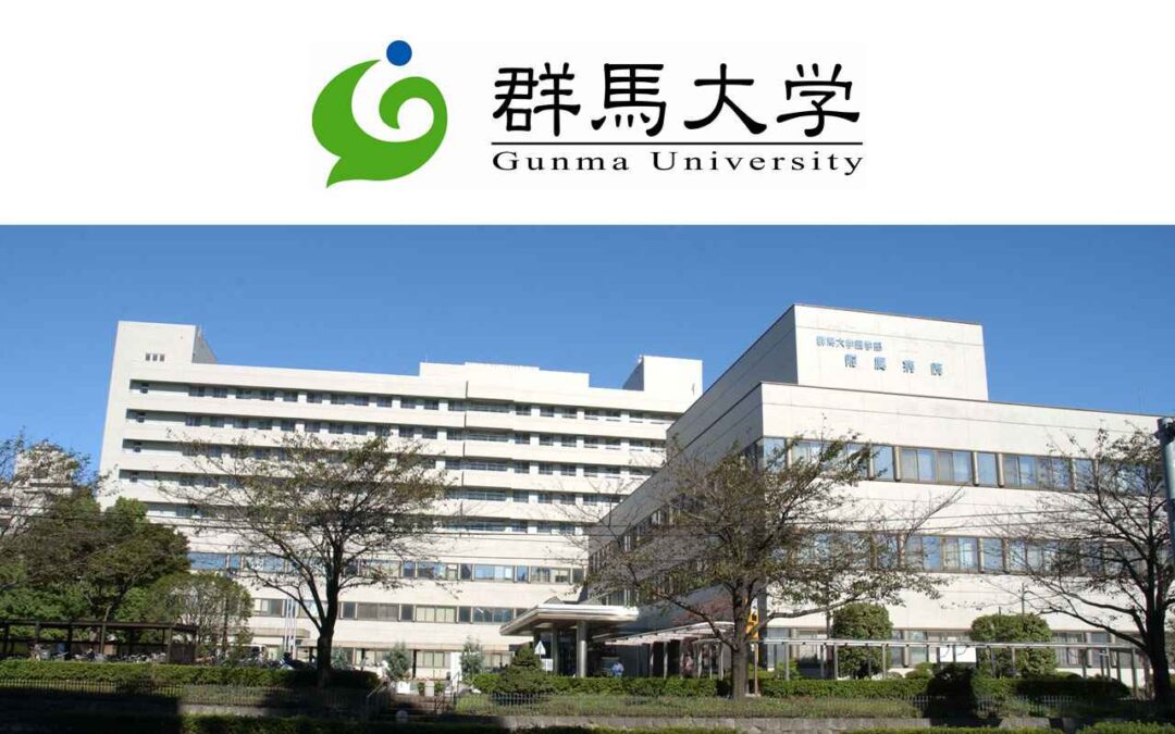 Revolutionizing Healthcare: Gunma Hospital’s Advanced IT System