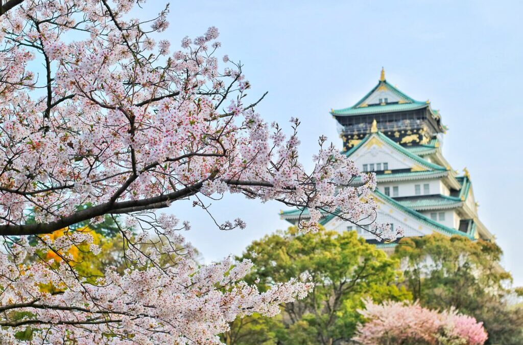 How Did Cherry Blossom Viewing Start in Japan?