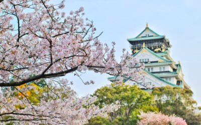 How Did Cherry Blossom Viewing Start in Japan?